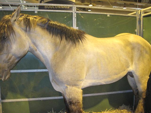 Le Salon International de l'Agriculture
