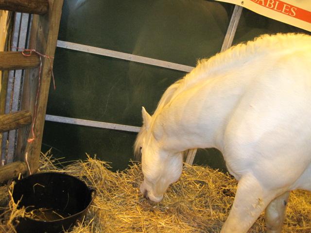 Le Salon International de l'Agriculture