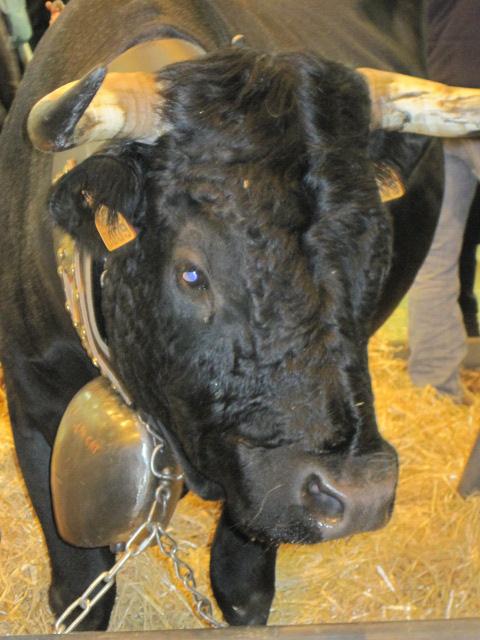 Le Salon International de l'Agriculture