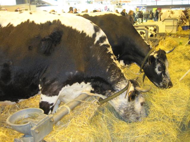 Le Salon International de l'Agriculture