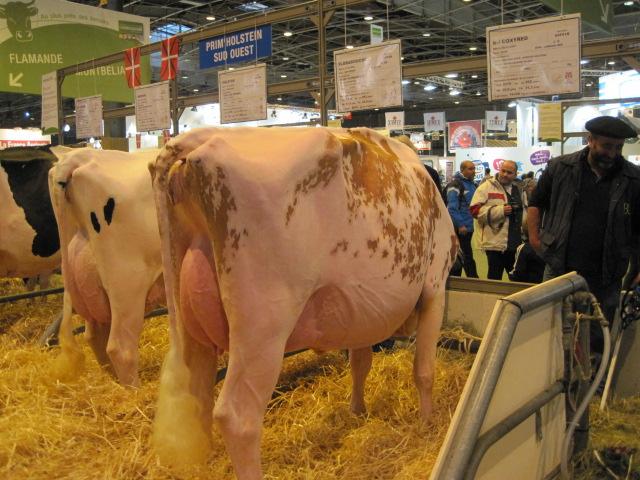 Le Salon International de l'Agriculture