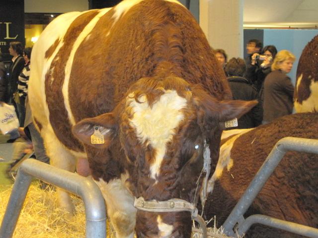 Le Salon International de l'Agriculture