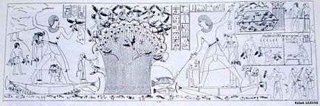 Cailliaud---Tombe-Neferhotep-1.jpg