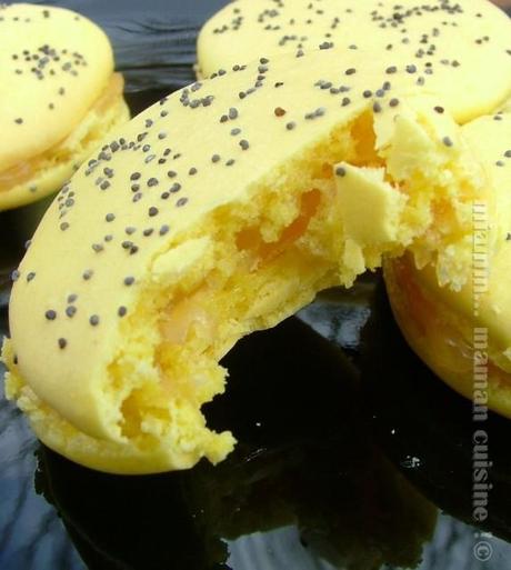Macarons au citron macaron citron3