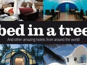 tree escales insolites travers monde