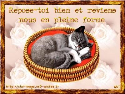Joyeux Anniversaire Et Prompt Retablisssement A Lorent A Voir Joyeux Anniversaire Et Prompt Retablisssement A Lorent A Voir