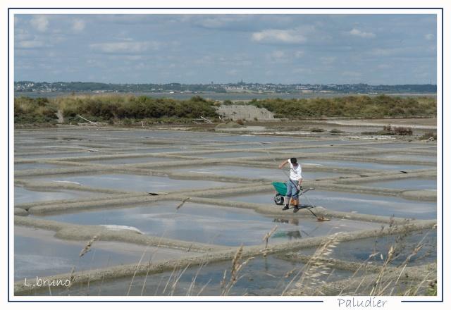 MARAIS SALANTS