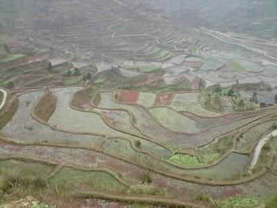 Carnets, 15 février (2/3): Au pays de la Belle au Bois Domant