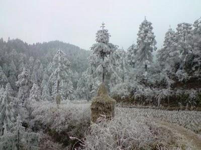 Carnets, 15 février (2/3): Au pays de la Belle au Bois Domant