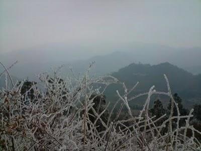 Carnets, 15 février (2/3): Au pays de la Belle au Bois Domant