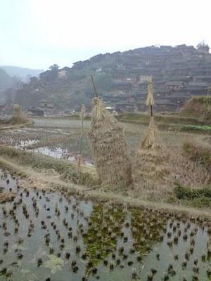 Carnets, 15 février (2/3): Au pays de la Belle au Bois Domant
