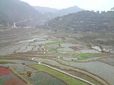 Carnets, 15 février (2/3): Au pays de la Belle au Bois Domant