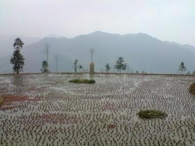 Carnets, 15 février (2/3): Au pays de la Belle au Bois Domant