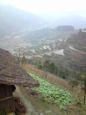Carnets, 15 février (2/3): Au pays de la Belle au Bois Domant