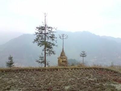 Carnets, 15 février (2/3): Au pays de la Belle au Bois Domant