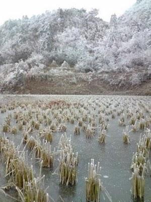 Carnets, 15 février (2/3): Au pays de la Belle au Bois Domant