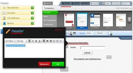 Comment mettre en place une chaine de prospection et de fidélisation avec Aweber ? – Partie 1 entete formulaire