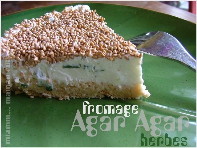 cheesecake chevre herbe2