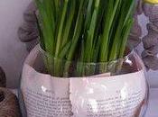 YELLOW ...Un bocal sans poissonUn livre avec quelques pag...