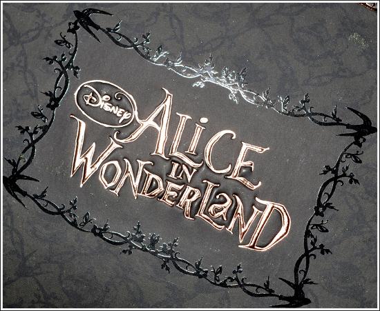 Le dilemme de la BOS Alice in Wonderland