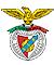 Benfica - OM : 1403 phocéens à Lisbonne