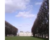 Sénat prolonge réfexion numérisation fonds