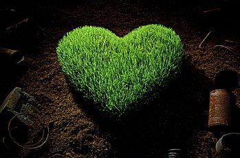 green-heart-1_l6e.jpg