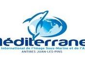 Mediterranea palmares festival l'image-sous-marine antibes juan-les-pins