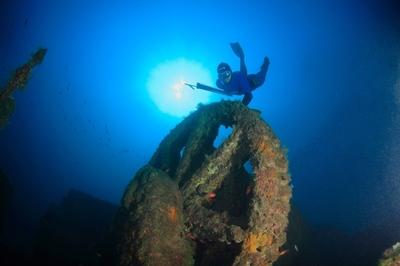 MEDITERRANEA - PALMARES DU FESTIVAL DE L'IMAGE-SOUS-MARINE A ANTIBES JUAN-LES-PINS