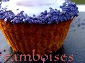 cupcakes framboises violettes