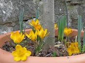 semaine bien tempétueuse... journal mars 2010