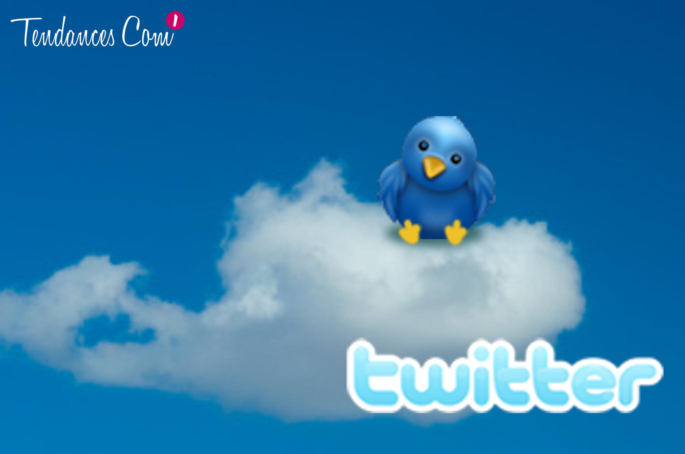 DOSSIER TWITTER : Twitter et sa démocratisation vers le grand public