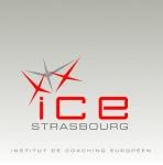 logo ICE fond.JPG