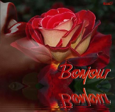 Bonjour Bonne Journee A Decouvrir Bonjour Bonne Journee A Decouvrir