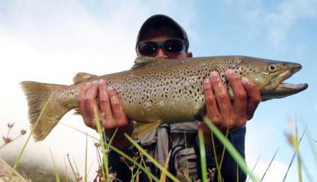 VILMO IN NZ – DA REAL THING / LES GRANDS ESPACES