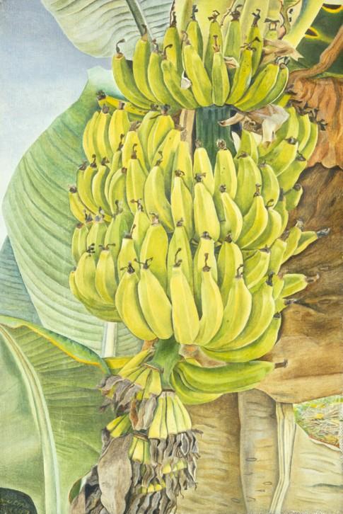 lucian_freud_bananas-1952.1267683907.jpg