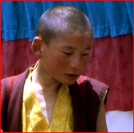 tibet-gamin-moinillon.1266404640.jpg