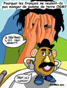 Un cari porc pommes de terre OGM