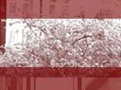 question prioritaire constitutionnalité: procès fait citoyen” (EHESS, Centre d’Étude Normes juridiques-Y.Thomas, Sém. “Casuistique juridique”, Progr. mars-juin 2010)