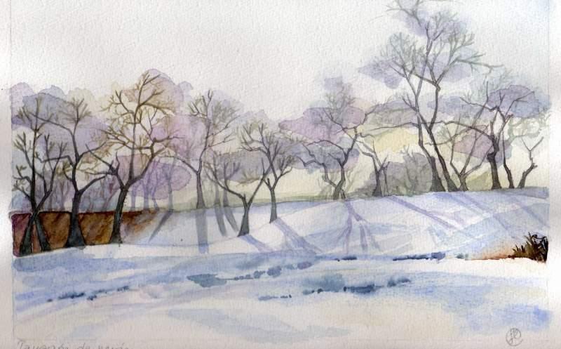 Reflet…  (Sylvie Fabre G)