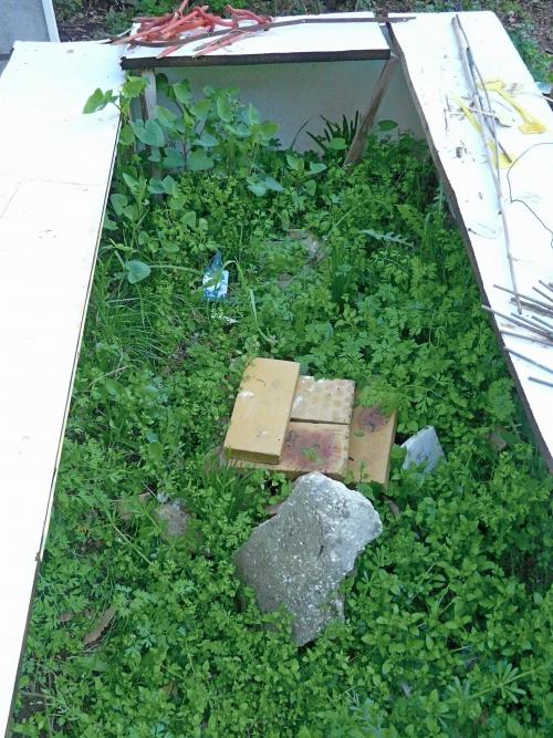 Potager mars 10 : premières plantations !