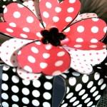 Rouge & noir : Boite à dragées