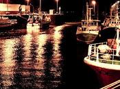 Ambiance nocture Turballe night