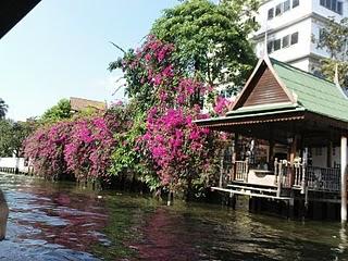 Les klongs de Bangkok et le Chao Praya