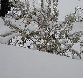 L'art de la cohabitation