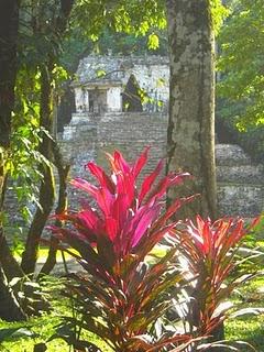 Mi Camino Maya: Palenque - Anecdotes (1)