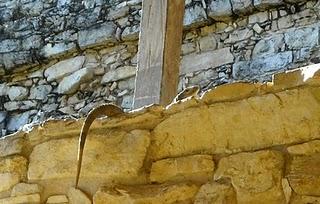 Mi Camino Maya: Palenque - Faune locale