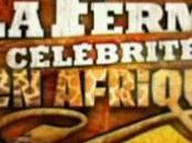 Ferme Célébrités Afrique générique l'émission