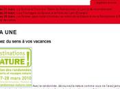 Suisse fait tout fromage dans newsletter