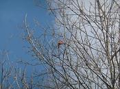 Hommage quotidien maison